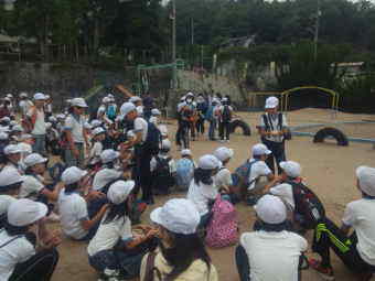 �L�����f�B�[�̔z�z